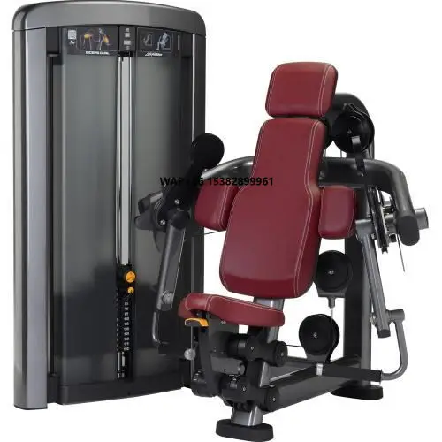 

Biceps Strength Curl Strength Gym Equipment