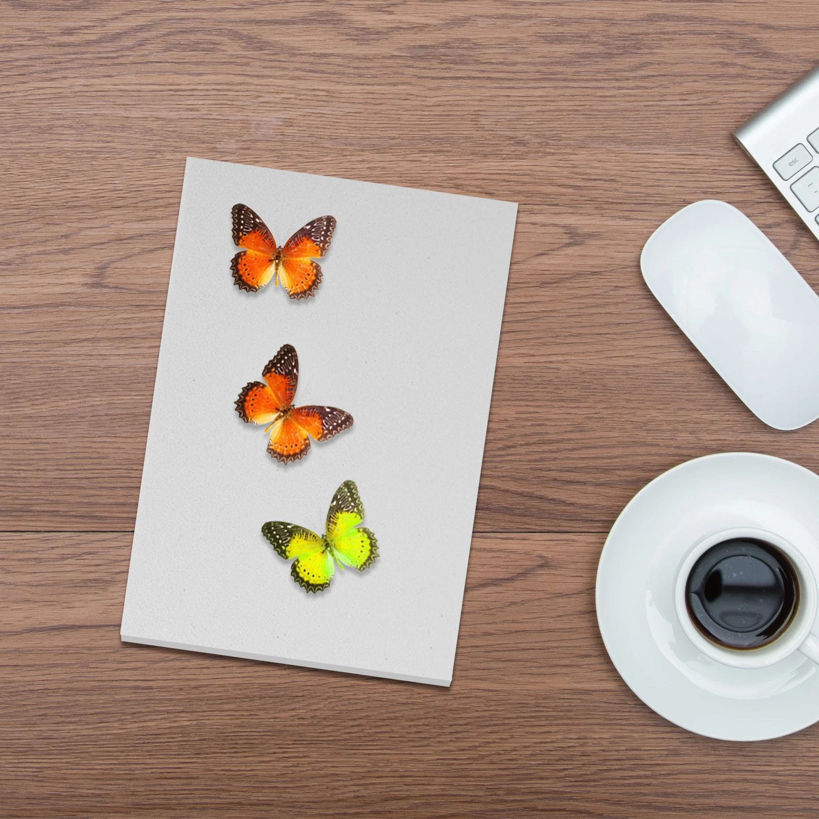 3Pcs Insect Specimen Pinning Board Eva Durable Butterfly Spreading Kit for Science Education Lab Research Display Collection