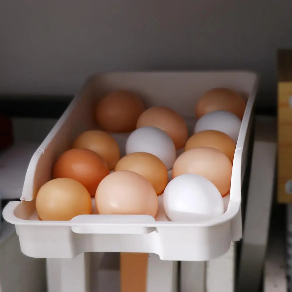 

Holder Egg Storage Box Organizer Case Storage Case Fresh-Keeping Storage Container 15 Grid Egg Box Egg Tray Fresh-Keeping Box