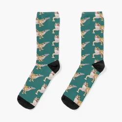 L is for Leopard Gecko Socks calzino riscaldante regali divertenti calzini invernali caldi da uomo da donna