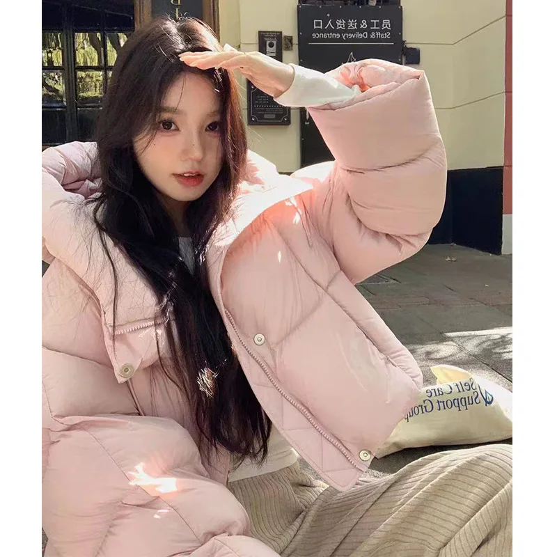 Down Winter New Moda Parkas Western Style Loose Hoody Small Fellow Slim Coat All-match French Exquisite Literary Jackets