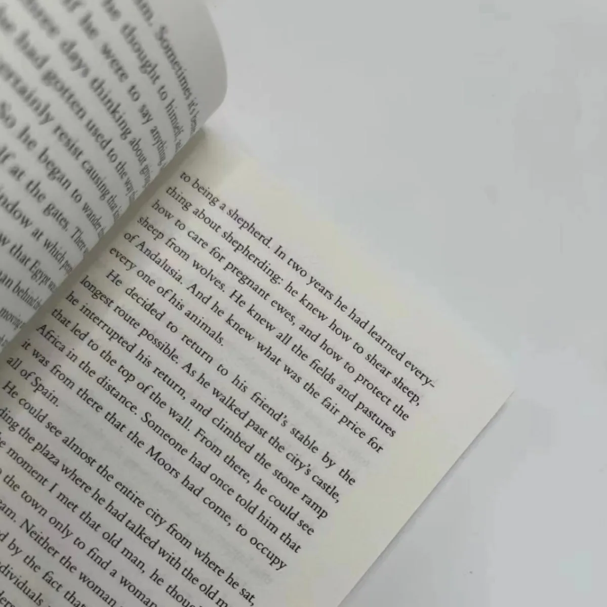 Гора ты - самотрансформер хорошие книги