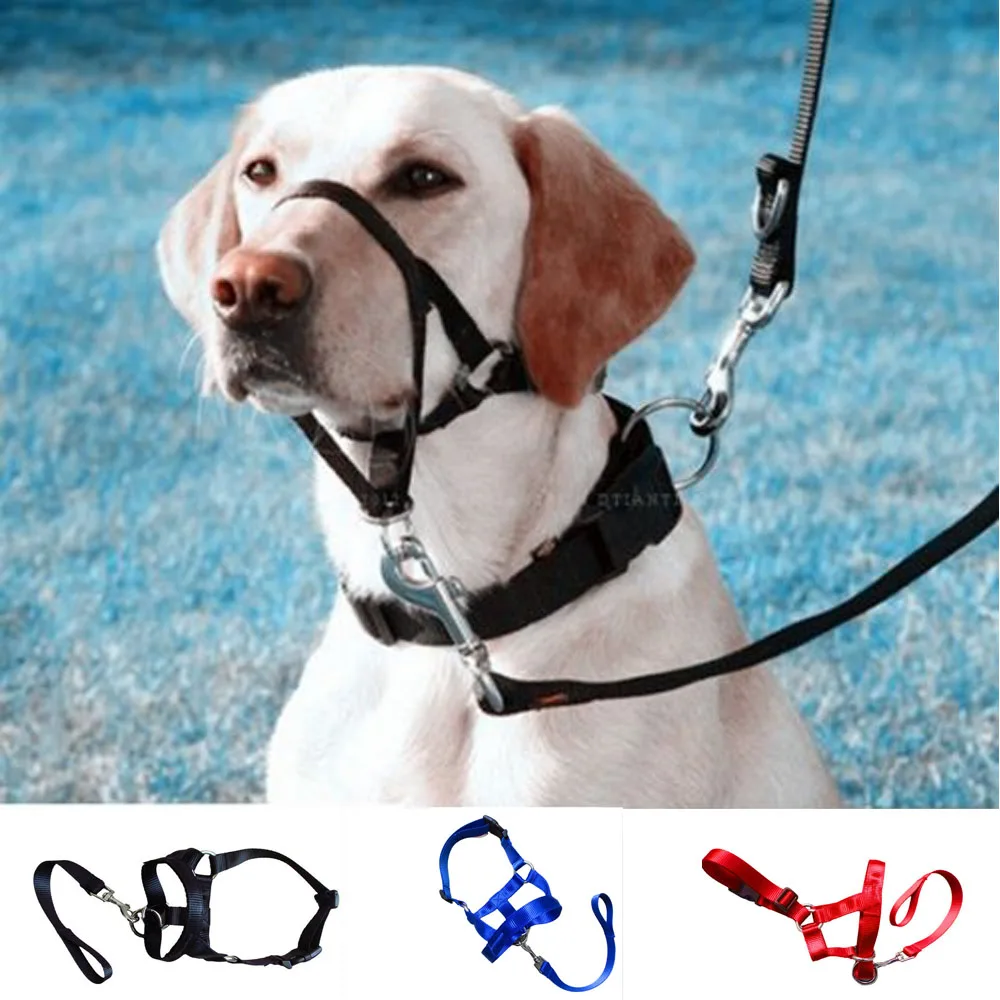 2024 Adjustable Head Collar Pet Dogs Mouth Rope Gentle Halter Leash Leader Pet Mouth Traction Set Usefull Harnesses Lead