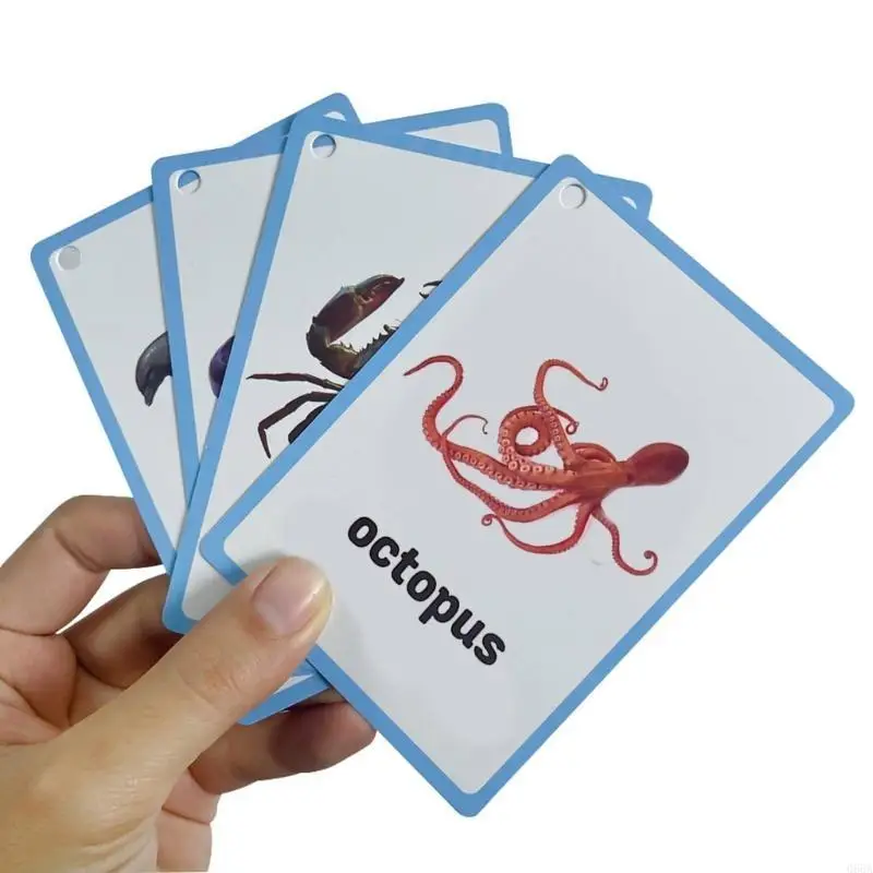 20sheet Sea Animal Vocabulary Flashcards بطاقات كلمات الحياة البحرية لرياض الأطفال #2