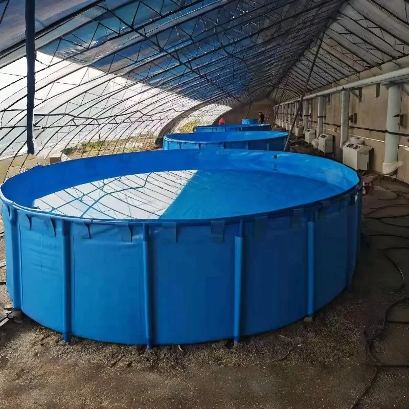 Wholesale Custom Large Size Outdoor/Indoor PVC Commercial Fish Tank Aquarium for Koi Breeding Aquaculture Living Room Use