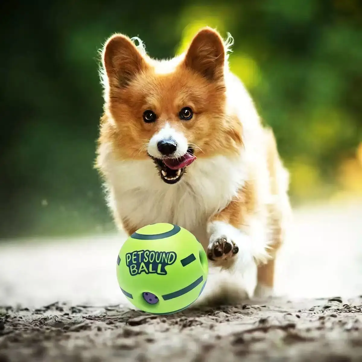 Thumbnail 4 - #26 Best Dog Balls to Buy In 2026