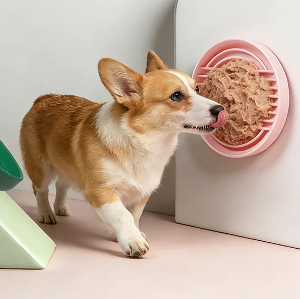 Thumbnail 2 - #37 Best Selling Slow Dog Feeder Bowls