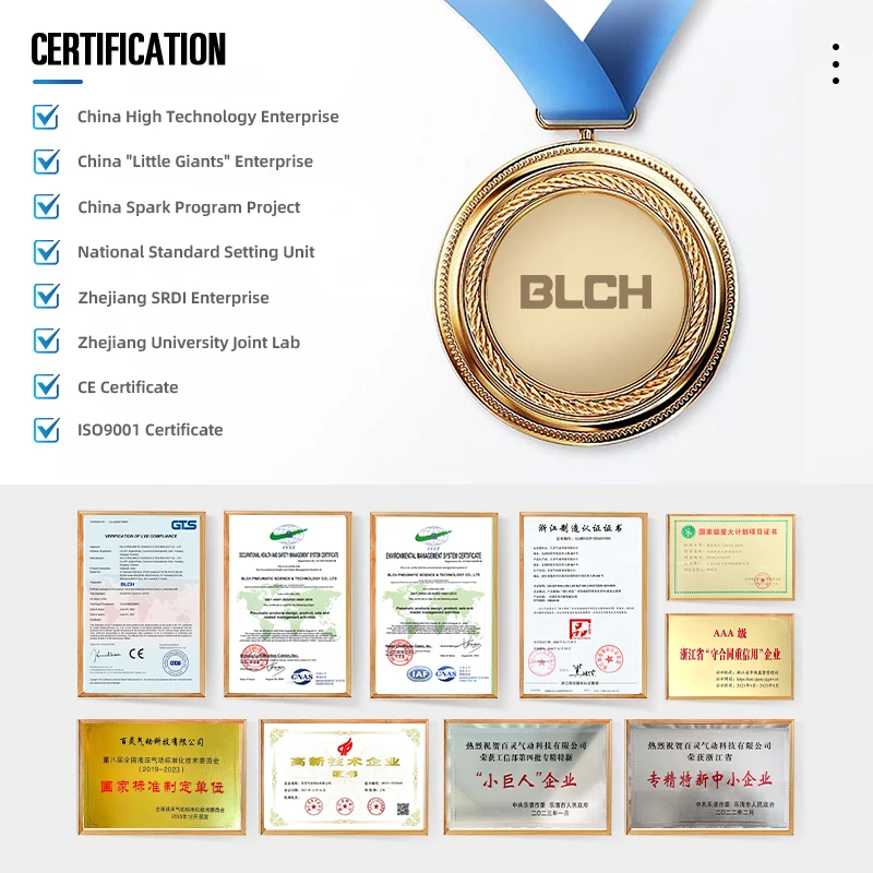 BLCH RE Pneumatic Air Control Valve Manual Flow Control Valve One Way