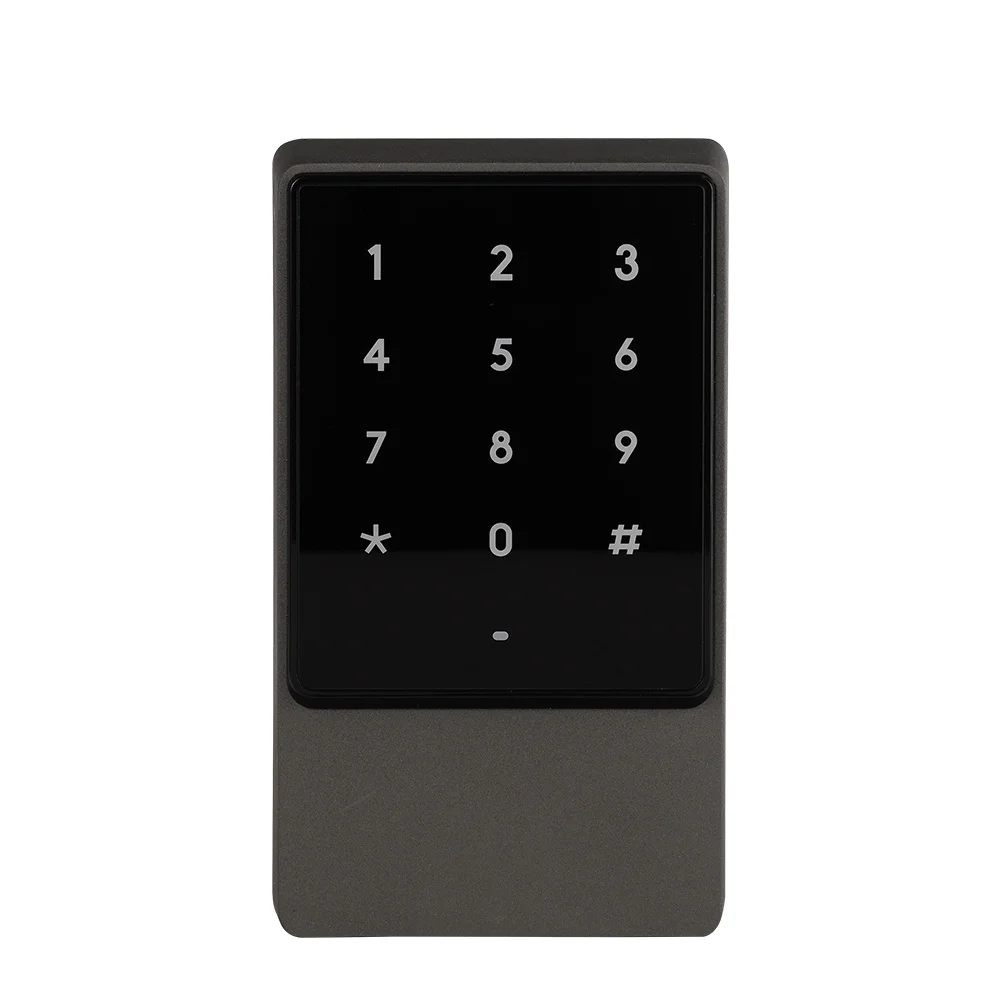 2026 Hot！Dual Frequency IC/ID Metal IP65 Waterproof Rfid Touch Screen Keypad Access Controller