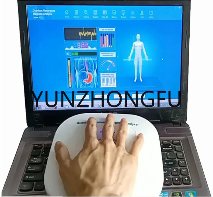 Mini-Größe tragbare Original-Software Hand Touch/bio-elektrischen Körper analysator