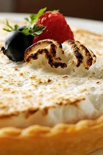 Professional Kitchen Butane Torch with Adjustable Flame, 2700°F for Sous Vide & Pastries, Anti-flare, Includes Stand