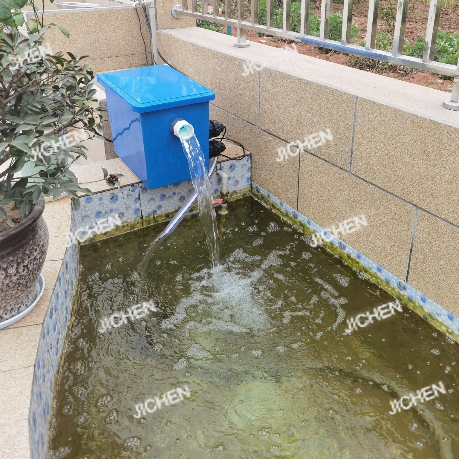 Hn Produce Fish Pon…