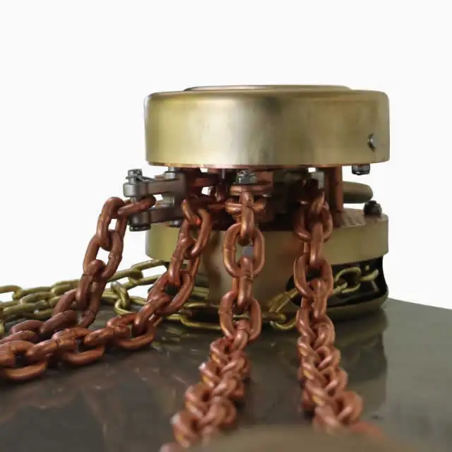 رافعة يدوية مقاومة للانفجار 5T رافعة يدوية مقاومة للانفجار البحرية لمصنع بناء السفن #6