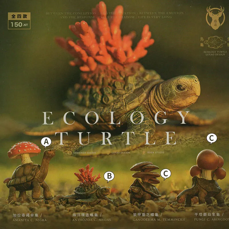 Giocattoli originali Gashapon Capsule Ecologia animale carina Tartaruga che scatta Tartarughe Action Figure Modello Kawaii Anime Figurine regalo