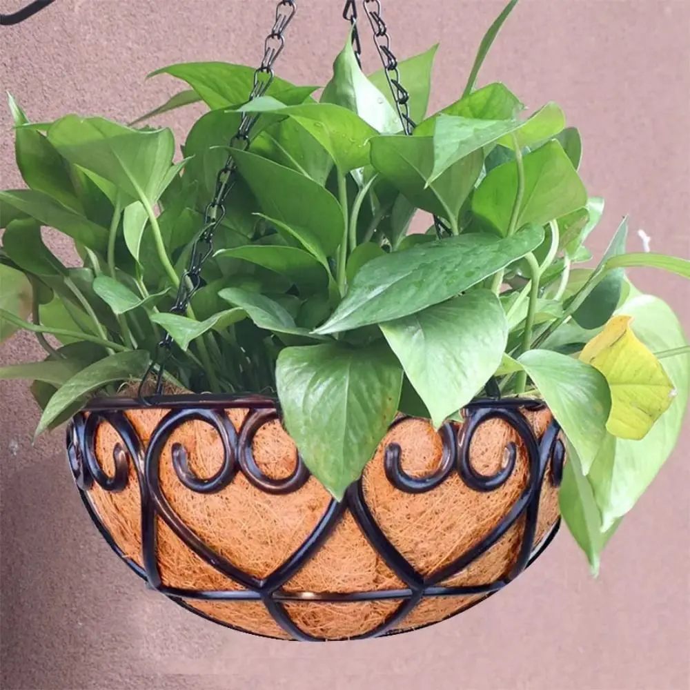 Coconut Brown Round Chain Hanging Basket Iron European Flowerpot Chlorophytum Comosum Flowerpot Creative Fleshy Green Plant