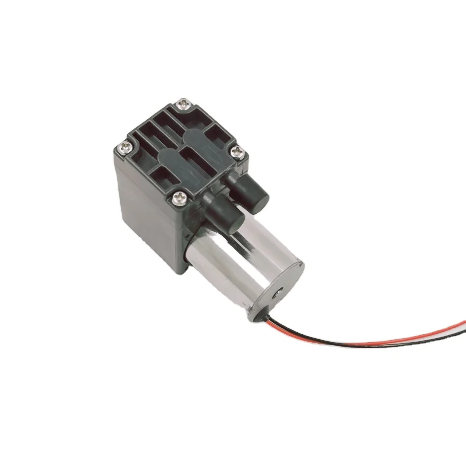 Customized Electric Diaphragm 24v Brushless Beauty Pump for Exhaust air