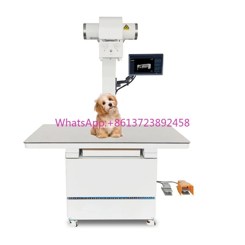 VET Animal Dynamic Digital Radiograghy and Fluoroscopy System With Laptop Panel for Pet Hospital