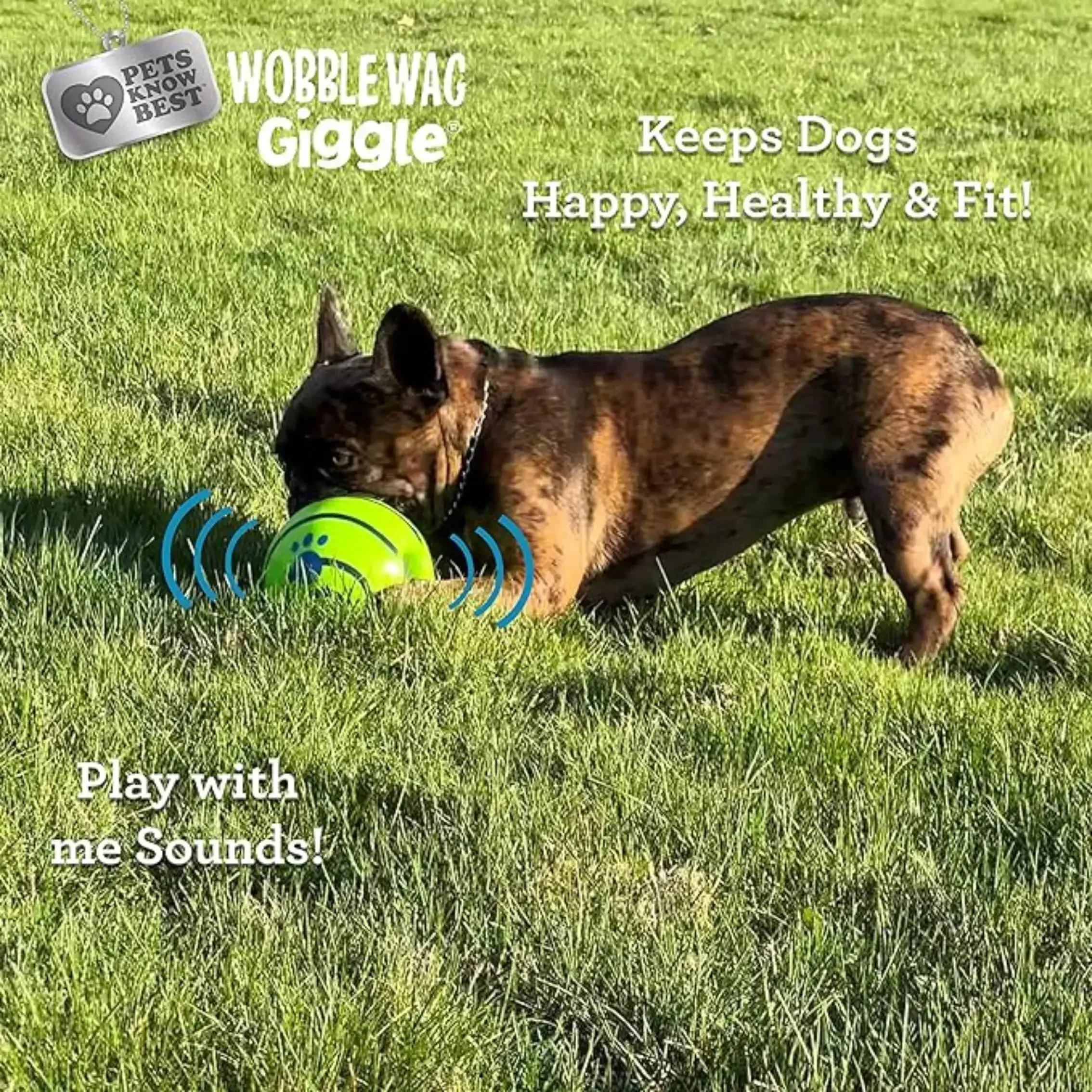 Pet Dog Toy Ball Wobble Wag Giggle Sound-Emitting Glow Ball Interactive Dog Toy Funny Indoor or Outdoor Play Agility Training