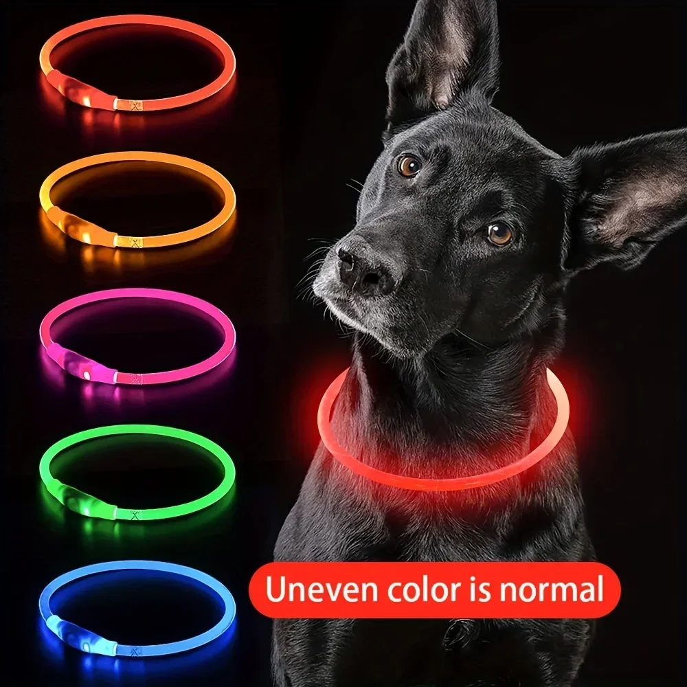 Collier de Fiber optique Rechargeable USB collier de lumière LED pour chien de compagnie collier de chien lumineux Anti-perte collier de chien Rechargeable USB
