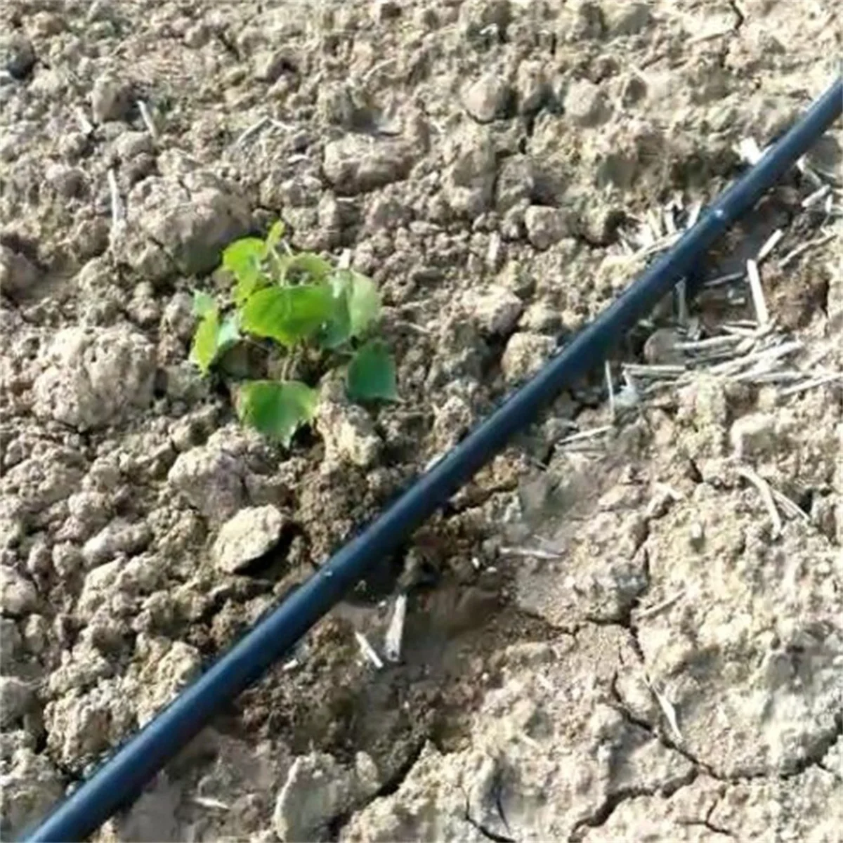 16mm mikro-nawadnianie przestrzeni taśma kroplująca 10/15/20/30cm do do ogrodu na trawnik domowego głównego przenośnika wodnego pasa natryskowego