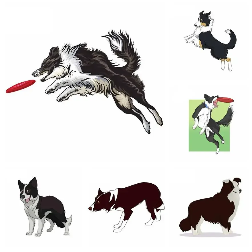 

Border Collie Car Decals Windshield Waterproof Vinyl Material Personality for JDM SUV RV Car Accessories