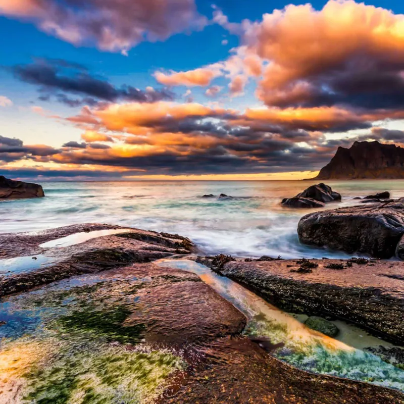 

High Quality JX Servo CLS6322HV 21KG Torque 180 Degree High Voltage Metal Gear Coreless Digital Servo For RC Helicopter RC car