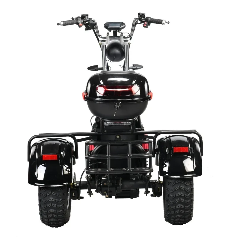 1500w3000w High Power 45km/h Fast Long Range Adult Tricycle 3 Wheel Electric Bike Trike Motorcycle