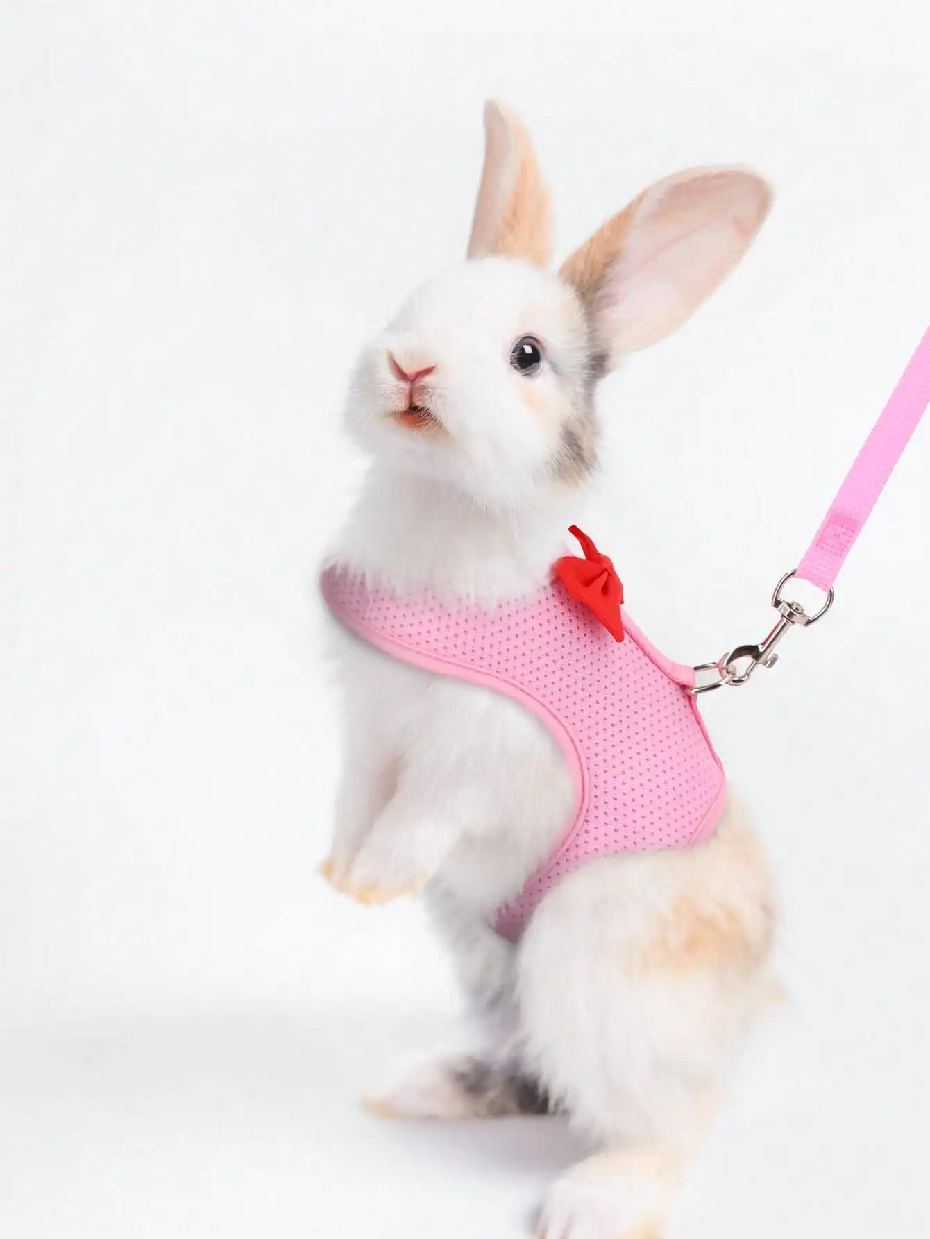 1 adjustable rabbit harness with leash, breathable mesh vest and leash for rabbits, hamsters, and cats, suitable for outdoor use with small animals