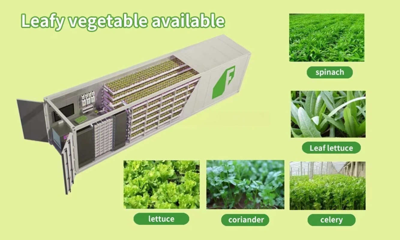 Serra agricola per contenitori per piante con sistema di coltivazione microgreen commerciale per coltura idroponica per interni