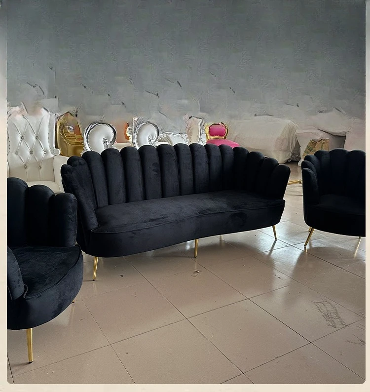 طقم أريكة فاخرة خفيفة حديثة من الشمال، حفل زفاف، غرفة معيشة، شقة صغيرة، مجموعة أريكة ترفيهية بتلات الإصبع