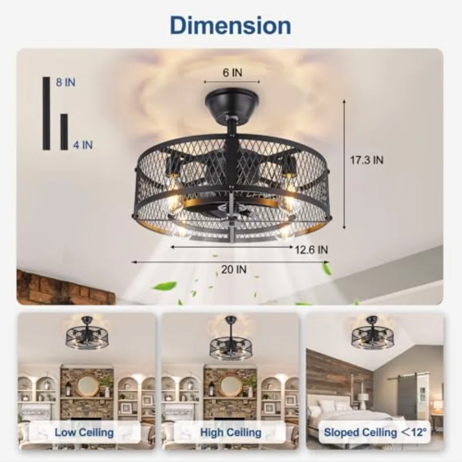 DLLT Caged Ceilg Fan with Light: