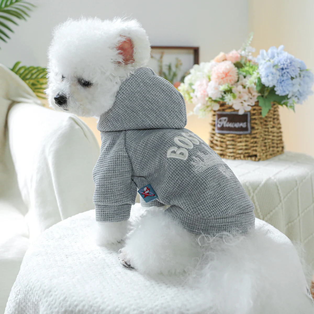 1PC Pet Clothing Spring and Autumn Fleece Grey Boston Hat Coat Suitable for Small and Medium sized Dogs