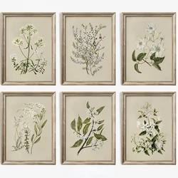 Vintage Beauty Style Botanical Flower Floral Gallery Art Poster Canvas Painting Wall Prints Picture for Living Room Home Decor