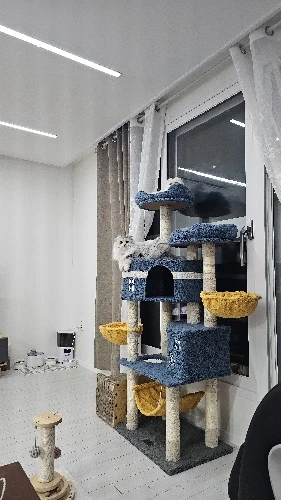 구매후기