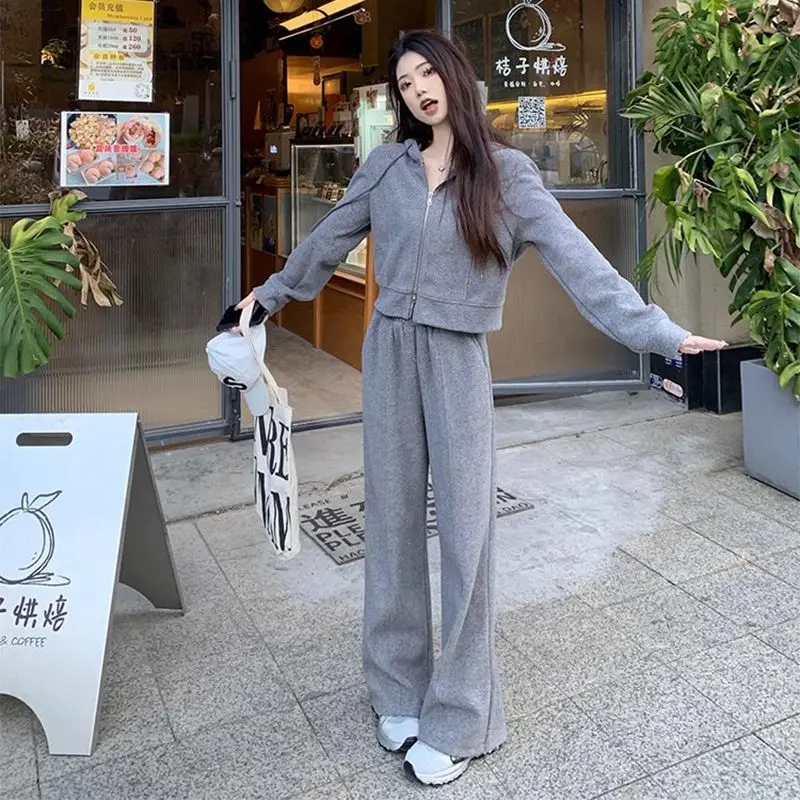 Korean Style Autumn New Grey Hooded Top Thin Jacket Wide Leg Pants Two-piece Set Women\'s Pants Set Sports Suit