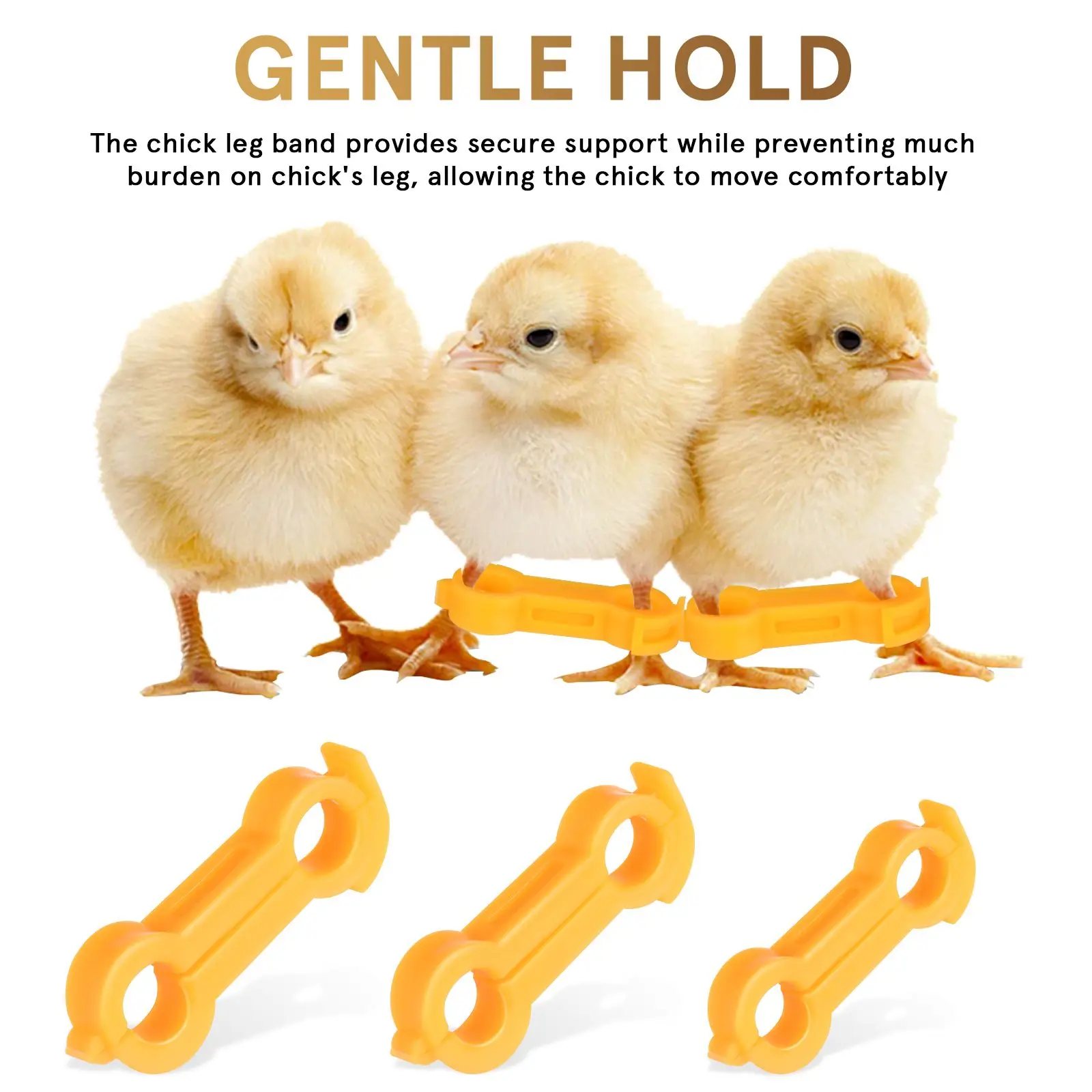 12Pcs Chick Leg Stabilizer Bird Corrector Chicken Band Leg Ring Labels Accessories Bands Supplies for Your Chickens Parrot Foot - Image 3