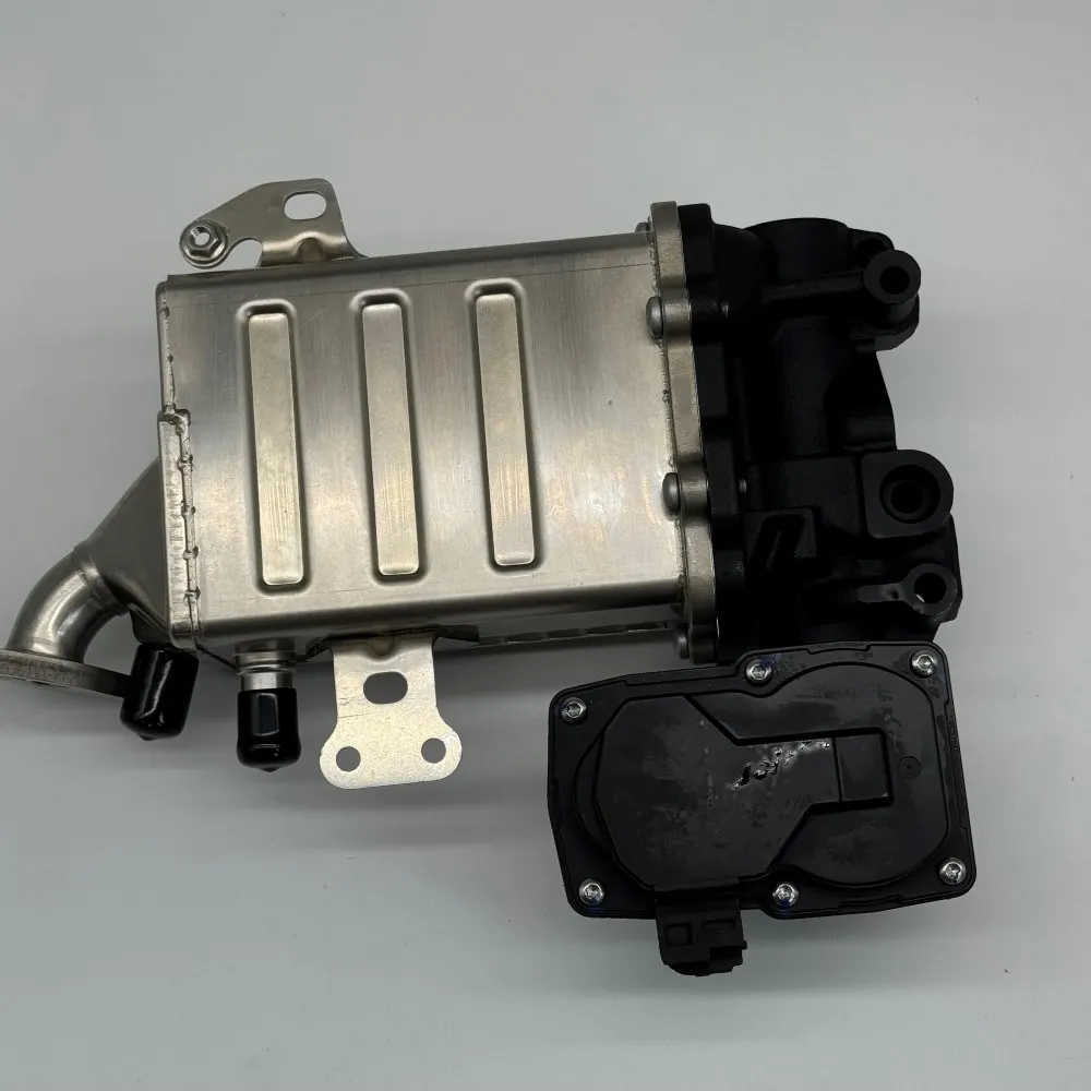 Engine EGR Valve Cooler Module  04L