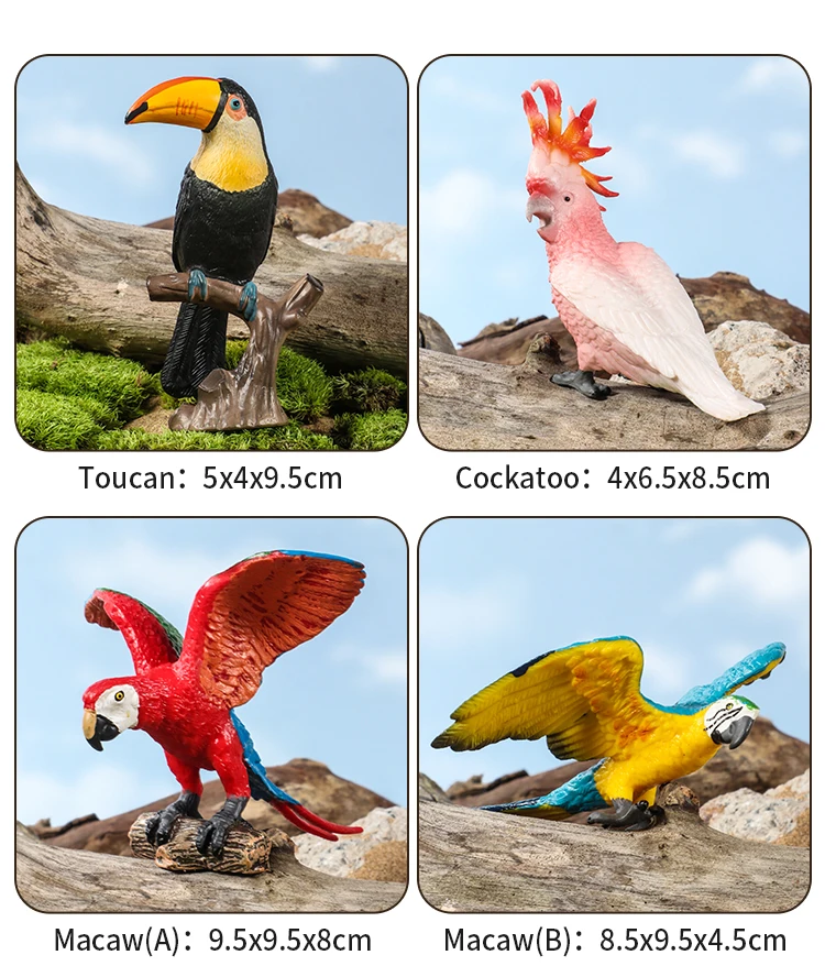 Realistische Vogelfiguren-Set - Papageien-Lernspielzeug für Kinder Simulierte Plastik-Tiermodelle Tierfiguren-Sammlung – Detail 6