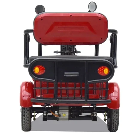 High Standard Adults EEC Three Wheels Electric Tricycle