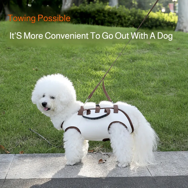 Multifunctional three-piece harness set for small dogs for outdoor travel, diagonal harness, three-in-one pet backpack harness
