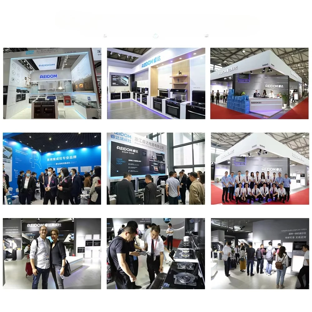 Factory low-priced kitchen appliances customized household 6700W cookware convection oven built-in