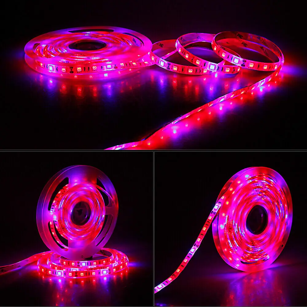 5M LED Plant Grow Strip Light DC12V 5050 300LED Full Spectrum Red&Blue 3/4/5:1