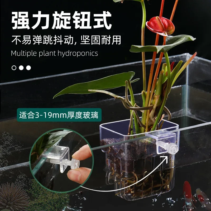 Hanging Aquarium Planter Cups Wall Mounted Aquatic Plants Holder Aquarium Planter Basket Fish Tank Plants Pot Fish Tank 어항 용품