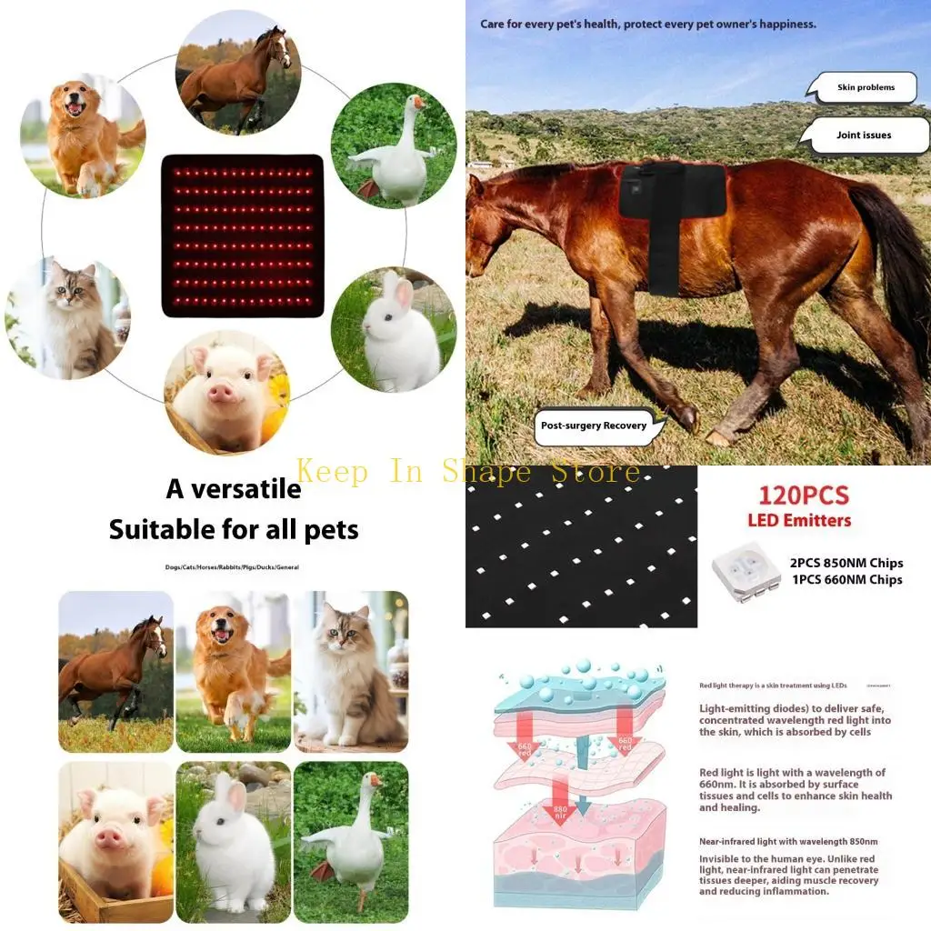 U1JC Equine Back Light  Pad Soft Comfortable Design Muscle Recovery Machine Washable Horse Care