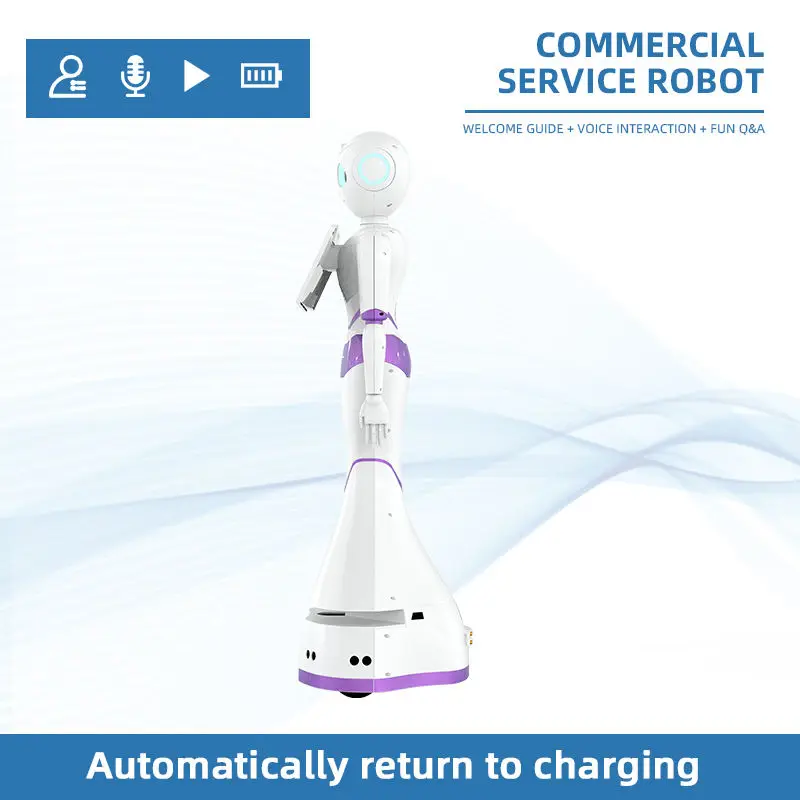 Intelligent Humanoid Robot And Ai Perfect Combination Service Robot High Stability Great Quality