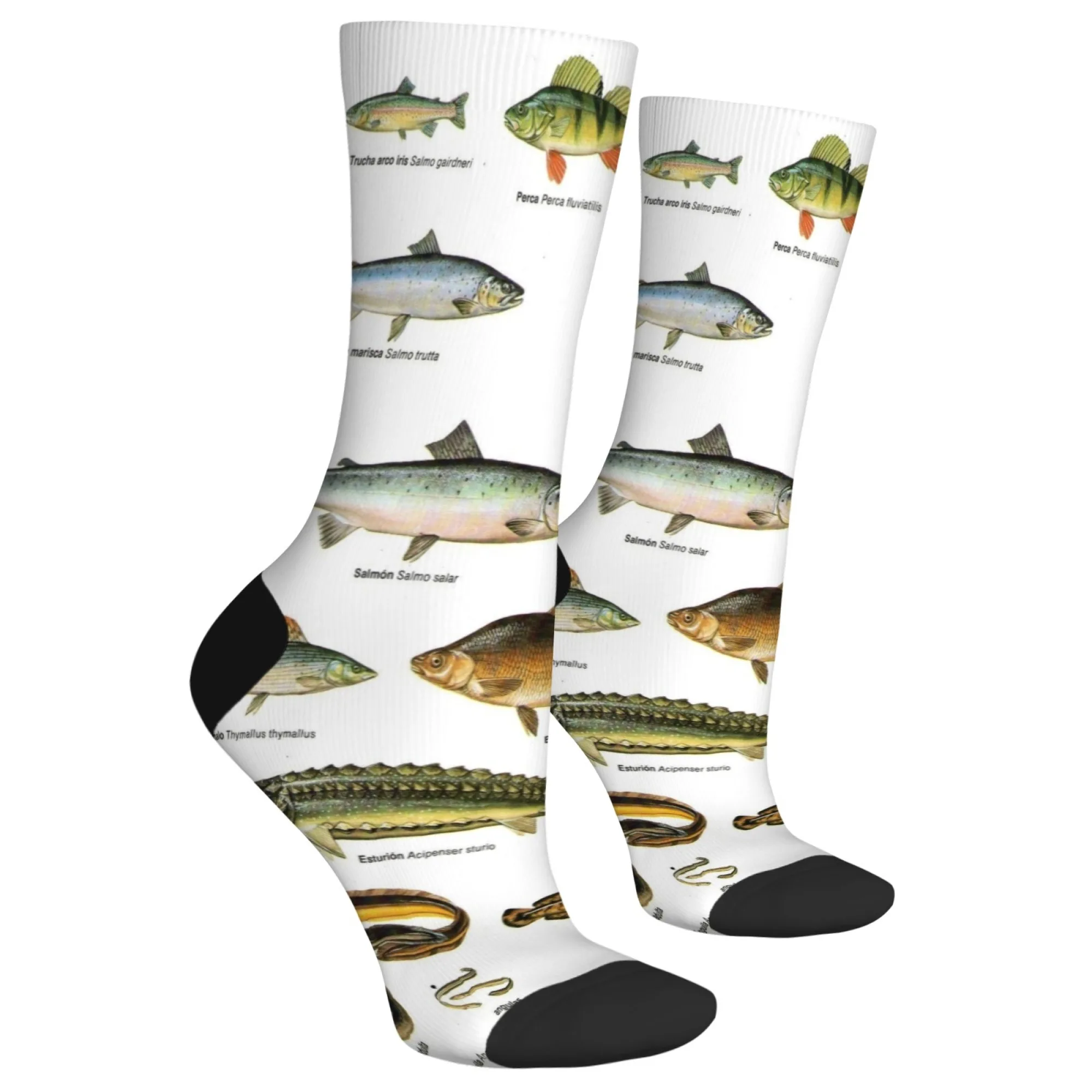 1 組のメンズソックス 面白い魚柄 新鮮で明るい ファッショナブルで快適なオールシーズン対応のノベルティソックス ギフト