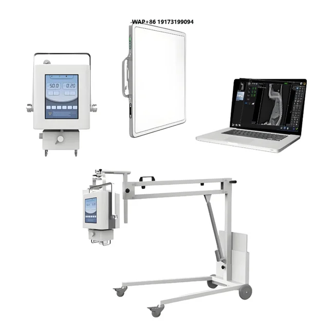 Veterinary Animal X-ray Machine Hospital Digital X-ray Machine with Imaging Software/Flat Panel Detector/Animal Stent