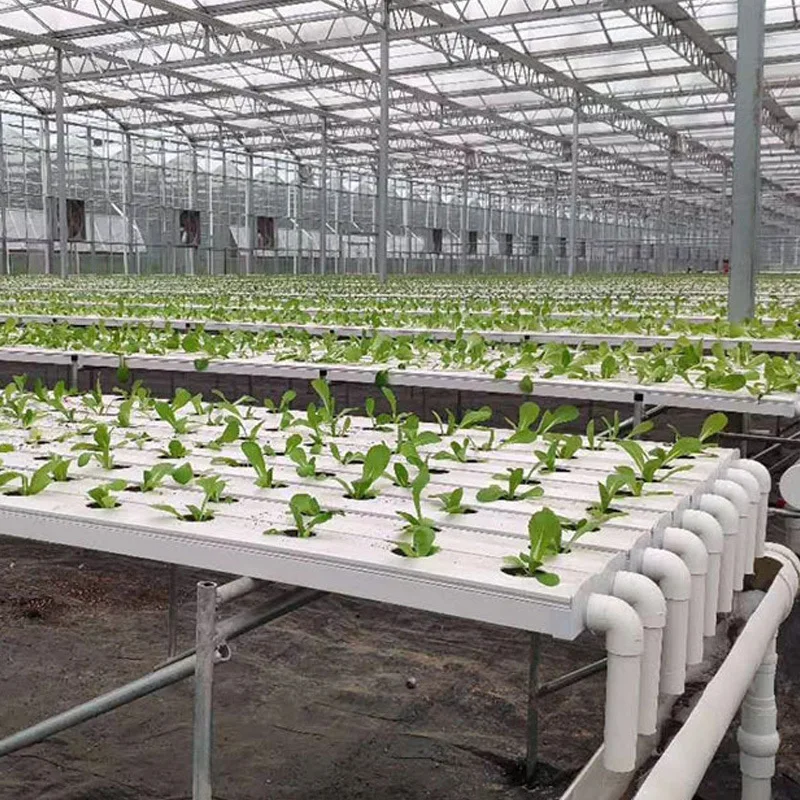 Tubi idroponico in PVC 2025 per la coltivazione di ortaggi e fiori Piantine coltivate in tubi quadrati di plastica