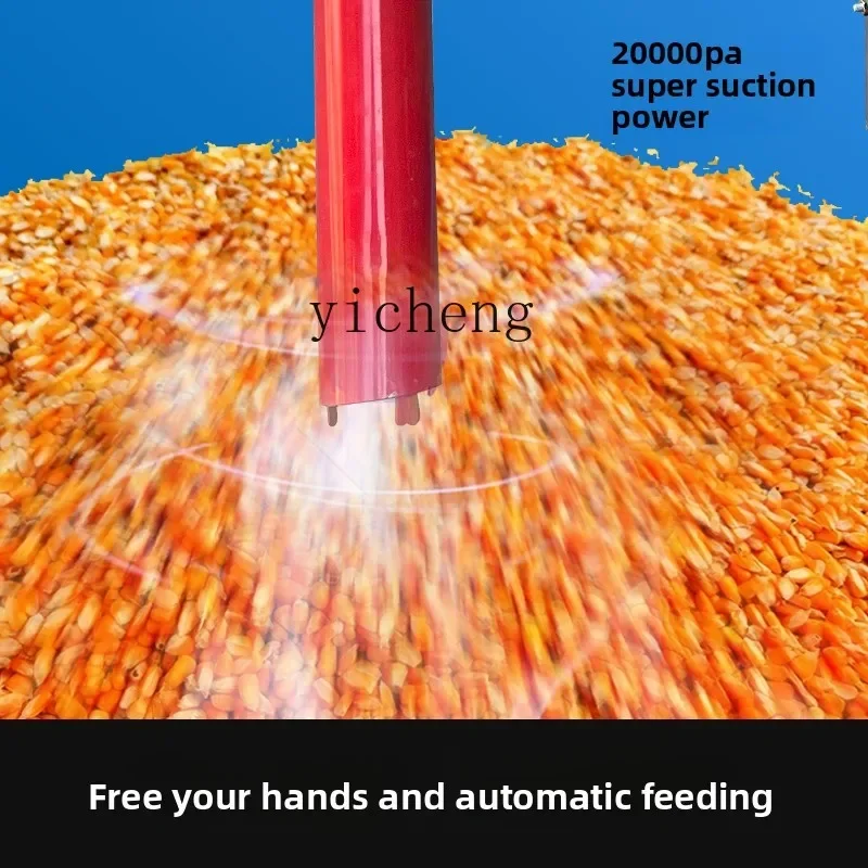 Рисунок 4 - Красное зерно фасоли