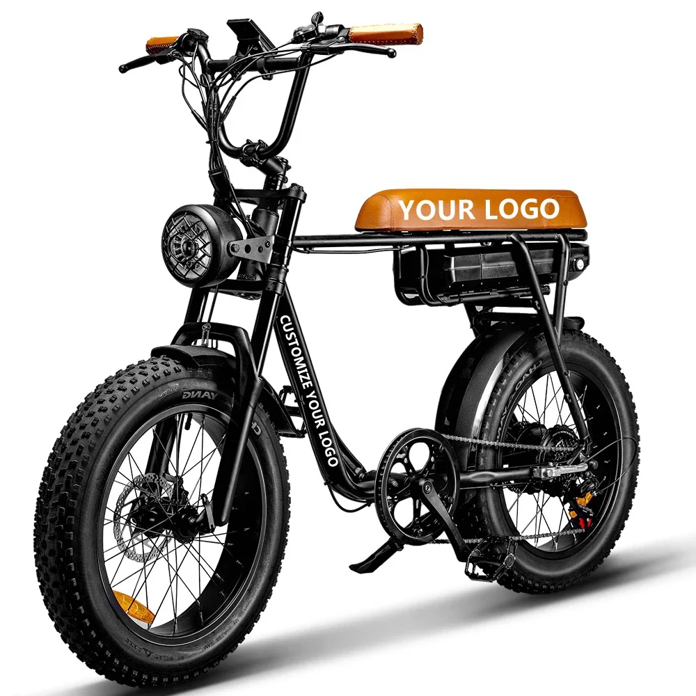 

Us Eu Warehouse Stock Bicicleta Electrica Retro E-Bike 500W 750W 1000W Motor Two Seat Off Road E Bike Fat Tire Electric Bicycle